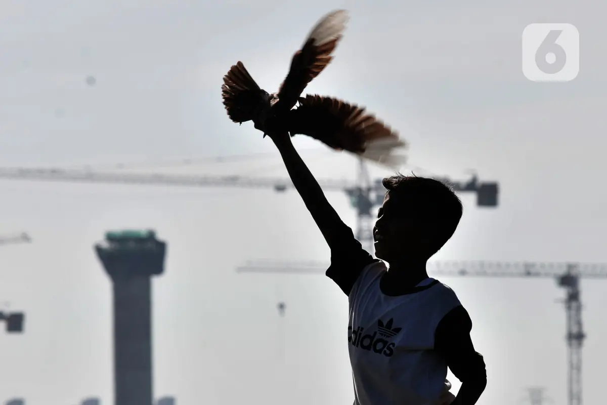 Melatih Burung Merpati Kolongan