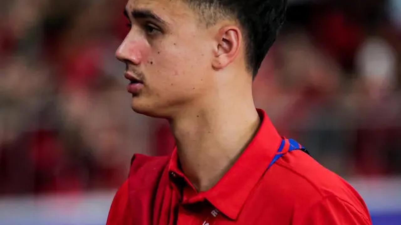 Bali United Incar Pemain Diaspora Timnas Indonesia: Eliano Reijnders dan Thom Haye Merapat?