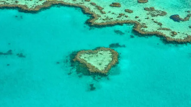 Ilustrasi Great Barrier Reef, Australia