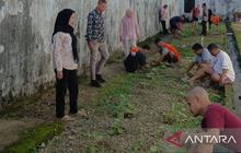 Budidaya Terong Rutan Ambon: Bekal Kemandirian WBP untuk Kembali ke Masyarakat