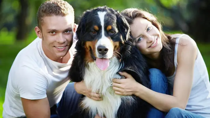 Hal Ini Buktikan Kalau Anjing Memang Makhluk Penyayang