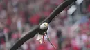 Elang maskot Benfica, Vitoria beraksi sebelum laga lanjutan Liga Portugal 2024/2025 melawan Sporting di Stadion da Luz, Lisbon, Portugal, Sabtu (10/05/2025) waktu setempat. (AP Photo/Armando Franca)