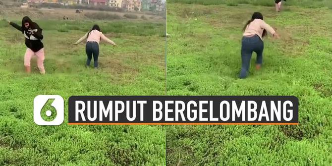 VIDEO: Unik, Fenomena Alam Rumput Bergelombang di Nepal