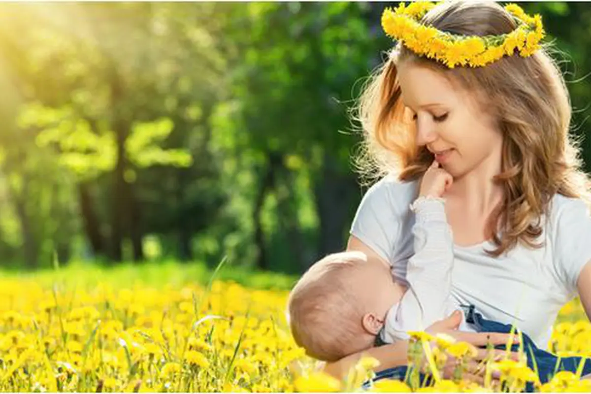 Foto : copyright shutterstock.com