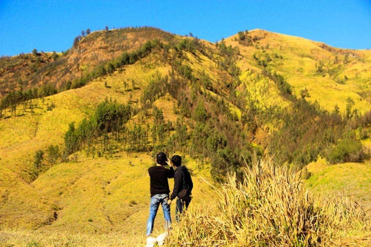 Memanjakan mata menikmati keindahan bukit 'Teletubbies' di Bromo