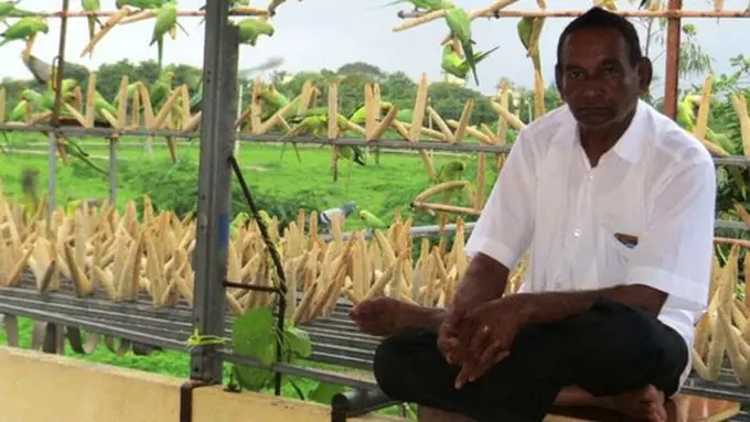 Copyright odditycentral.com