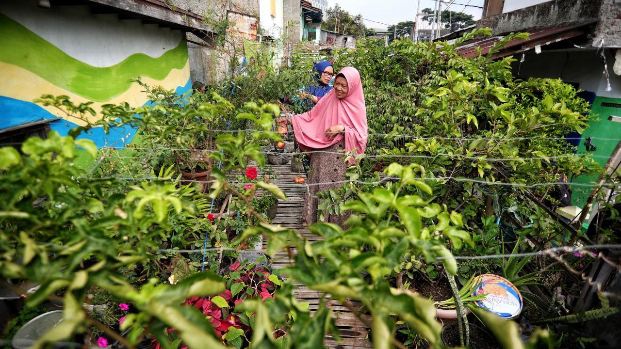 Tiap kampung berkebun mendapat tambahan komoditas dari pemerintah seperti bawang, cabai, tomat, terong, kemangi dan aneka bumbu dapur lainnya. (Foto: Liputan6.com/Humas Pemkot Bandung/Arie Nugraha)