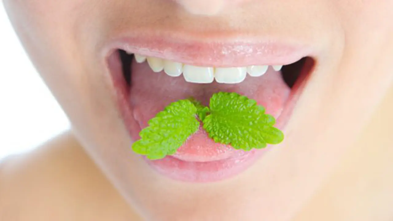 Foto: copyright thinkstockphotos.com