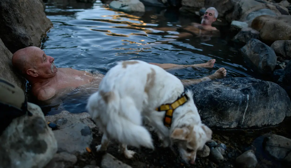 Seekor anjing terlihat saat dua pria menikmati pemandian air panas alami Sungai Cidaco dengan suhu 52 Celcius selama pagi musim dingin di desa kecil Arnedillo, Spanyol utara, 29 Desember 2018. (AP Photo/Alvaro Barrientos)