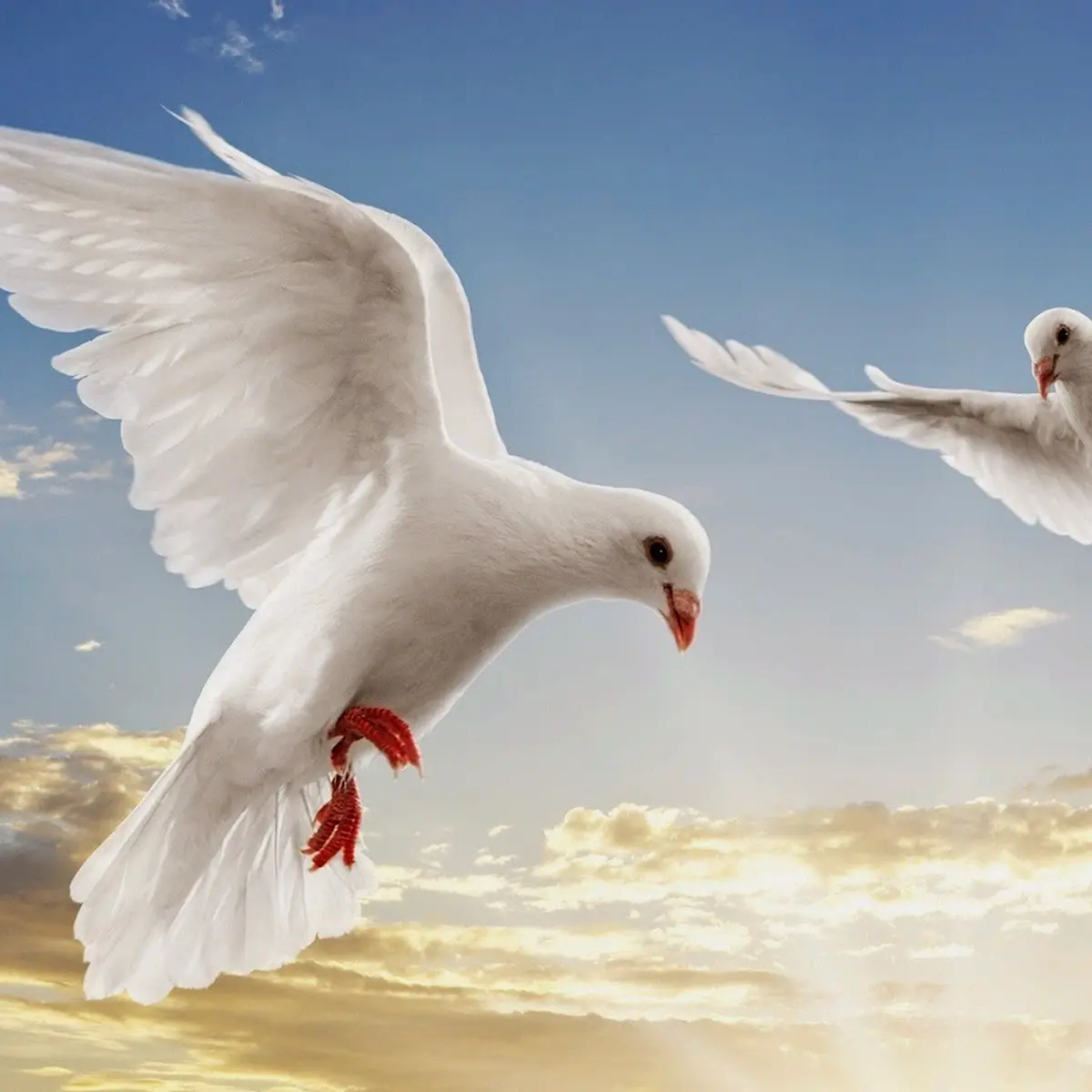 Kamu Masih Suka Selingkuh? Kalah Sama 7 Binatang Ini! - Lifestyle Fimela.com