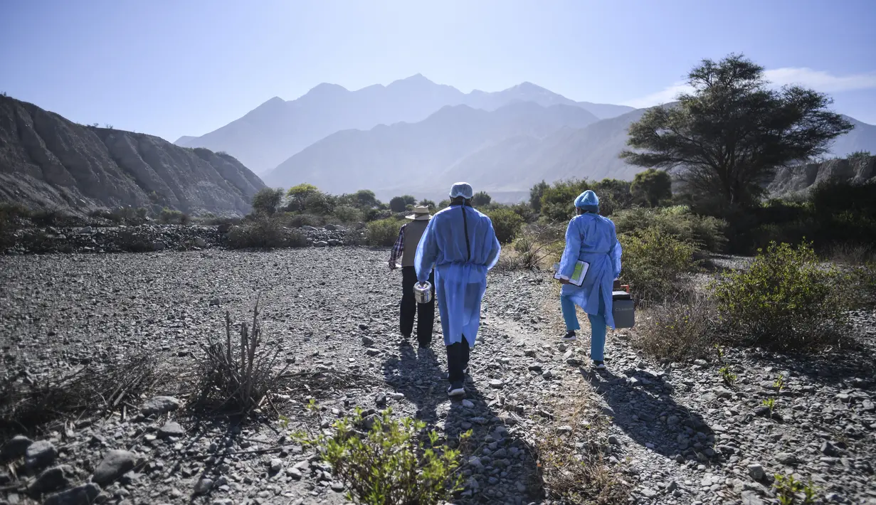 Petugas kesehatan berjalan menuju camp vaksinasi Covid-19 kepada warga lanjut usia di desa pedalaman di Arequipa, Peru (2/7/2021). Peru menggencarkan vaksinasi warga lanjut usia dengan vaksin Pfizer-BioNTech sebagai upaya untuk mengatasi pencegahan pandemi Covid-19. (AFP/Diego Ramos)