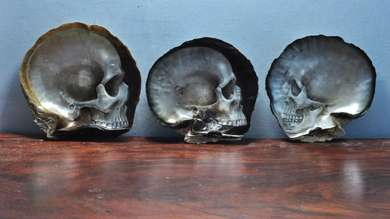 Indahnya Ukiran Berbentuk Tengkorak dari Kulit Kerang