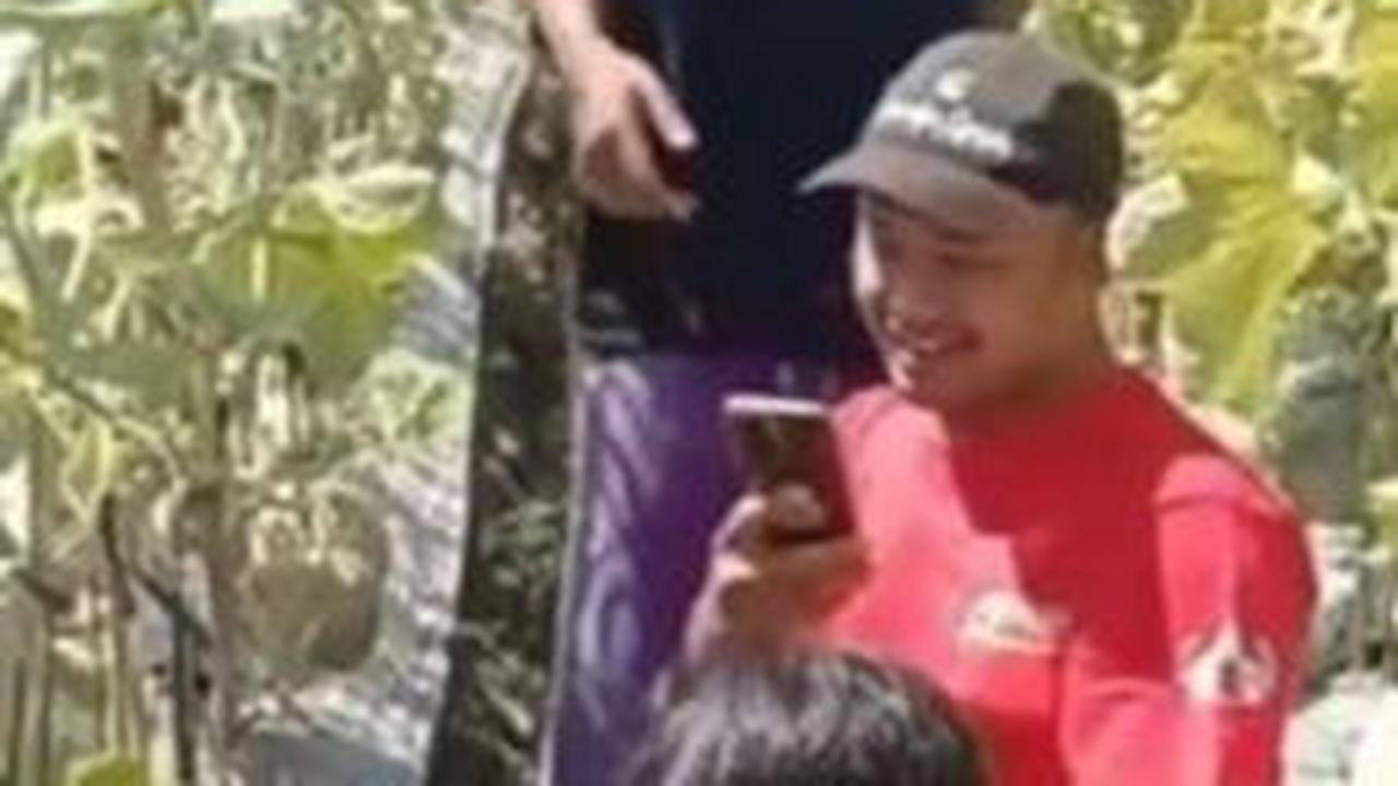 Keseruan Wisata Petik Melon di Grobogan, Uang Penjualan Digunakan untuk Bangun Ponpes