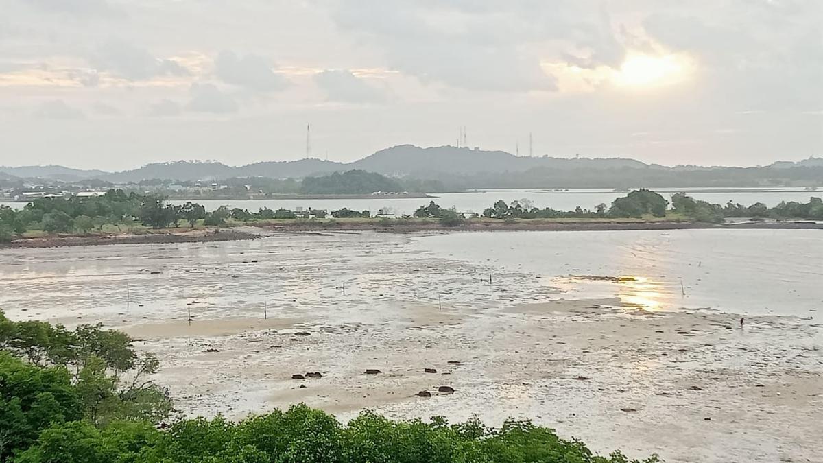 Batam Dikepung Reklamasi hingga Kaveling Laut