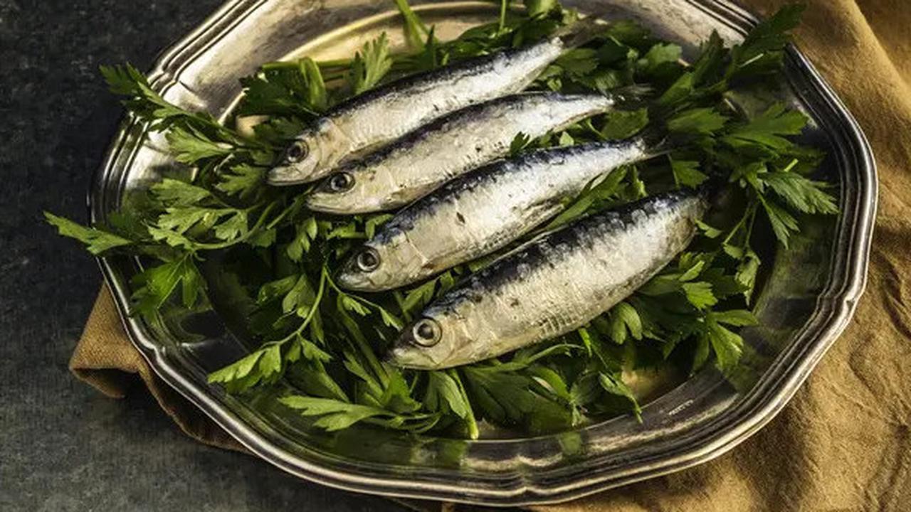 6 Manfaat Kesehatan Mengonsumsi Ikan Sarden, Menyehatkan Jantung hingga Mata