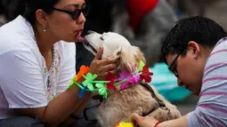 Seorang wanita mencium anjingnya yang diberikan kalung selama acara "Kukur Tihar" di Mexico City, Minggu (11/11). Kukur Tihar adalah festival Hindu yang dirayakan khusus untuk menghormati anjing. (AP Photo/Claudio Cruz)