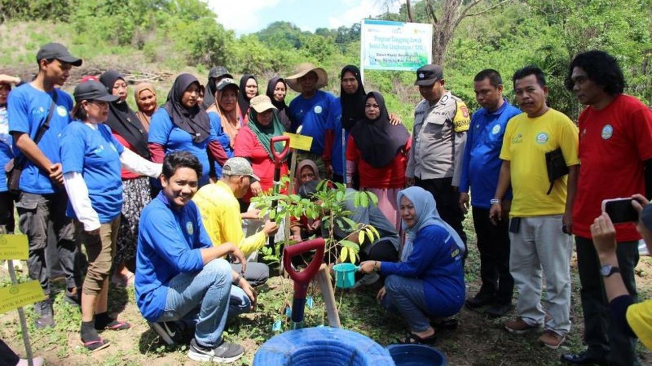 PLN UIP Sulawesi Hijaukan Lahan Tidur 3 Hektare di Pohuwato, Dorong Ekonomi dan Lingkungan