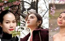 Adu Gaya Syifa Hadju, Ariel Tatum dan Yura Yunita saat Nikmati Sakura di Jepang, Kompak Tampil Elegan di Musim Semi