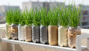 Kebun Daun Bawang dari Botol Plastik Bekas (Image by Gemini AI)