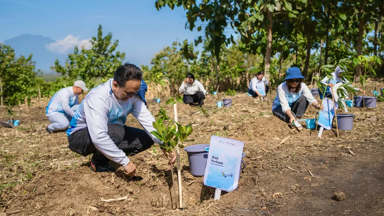Pelita Air Tanam 10 Ribu Pohon, Diperkirakan Bisa Serap Emisi Karbon hingga 150 Ton per Tahun