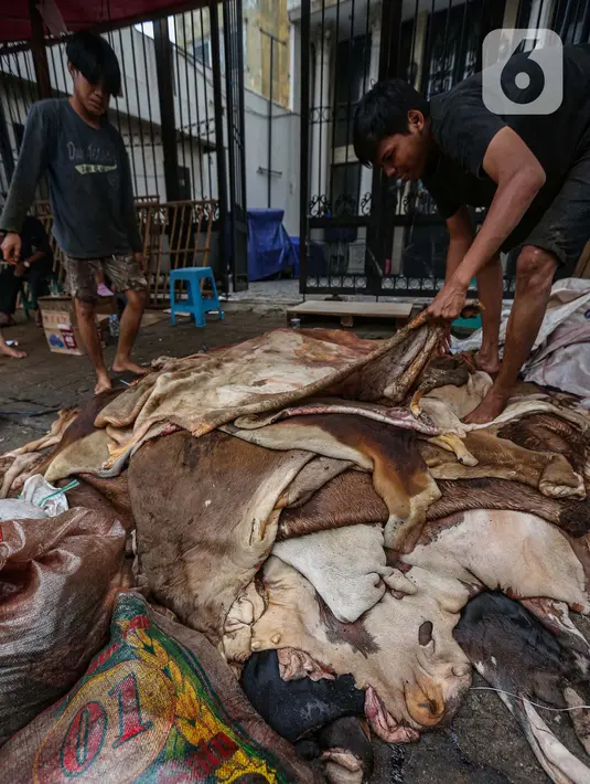 Untuk kulit kambing, pihak pengepul memberi harga Rp10.000 hingga Rp15.000 per kilo. (Liputan6.com/Angga Yuniar)