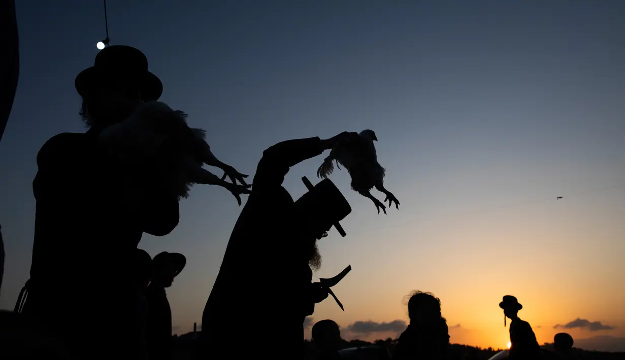 Pria Yahudi Ultra-Ortodoks mengayunkan ayam di atas kepalanya sebagai bagian dari ritual Kaparot di Beit Shemesh, Israel, Minggu (6/10/2019). Tradisi itu digelar sebelum perayaan Yom Kippur atau hari Penenbusan dosa pada Selasa esok yang dimulai saat matahari terbenam. (AP/Oded Balilty)