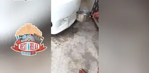 Ternyata Begini Cara Memperbaiki Body Mobil yang Penyok