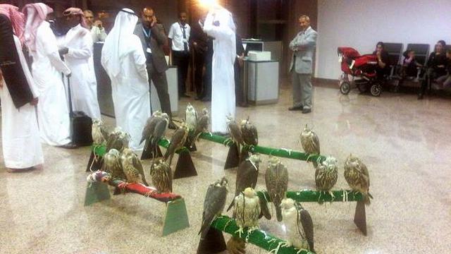 Ada yang Kemah, Ini 7 Aksi Nyeleneh Calon Penumpang di Bandara