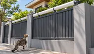 Cara Pasang Pipa Paralon Berputar di Ujung Pagar, Trik Murah Bikin Kucing Gagal Memanjat dan Kabur dari Rumah