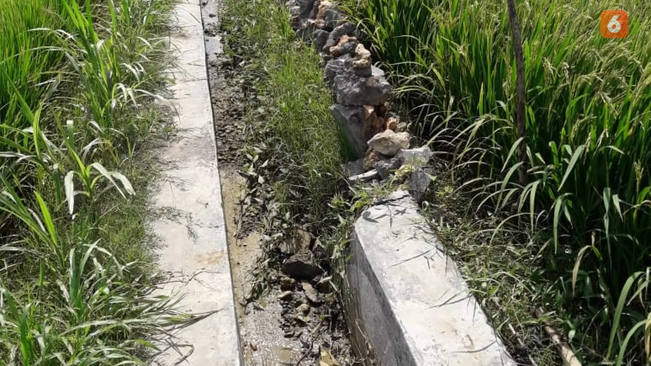 irigasi dana desa