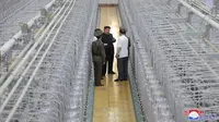 Dalam foto tidak bertanggal yang&nbsp;dipublikasikan pada hari Jumat (13/9/2024), Kim Jong Un tampak sedang melakukan inspeksi di tempat yang disebut Korea Utara sebagai lembaga senjata nuklir dan fasilitas untuk bahan nuklir di lokasi yang dirahasiakan. Isi gambar ini sebagaimana disediakan dan tidak dapat diverifikasi secara independen. (Dok. KCNA/Korea News Service via AP)
