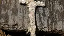 Sebuah pedang berusia 900 tahun yang diyakini milik seorang tentara salib di Caesarea, Israel, setelah ditemukan oleh penyelam lokal, pada 19 Oktober 2021. Pedang sepanjang satu meter yang memiliki gagang unik tersebut sudah diliputi organisme laut. (JACK GUEZ / AFP)