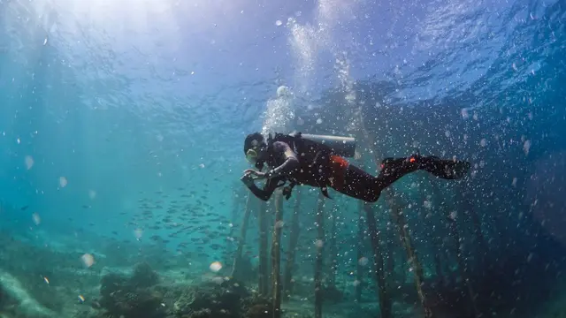 Status Global Geopark Raja Ampat Akan Divalidasi Ulang UNESCO pada Agustus 2026