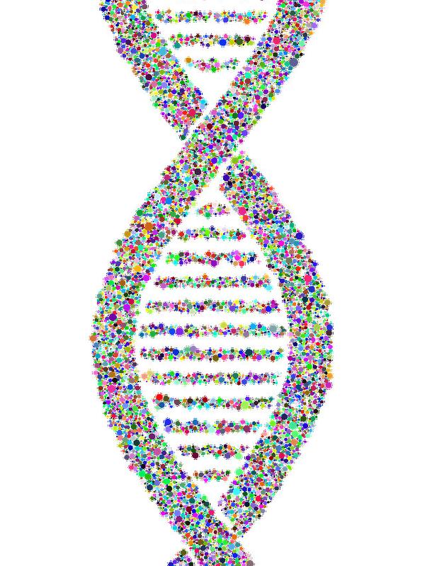 Ilustrasi DNA (sumber: Pixabay)