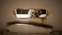 Cara Cegah Kucing Beranak di Atas Plafon Rumah, Solusi Efektif Tanpa Perlu Menyakiti