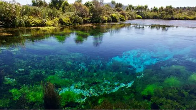 Foto: Natgeo/Michel Roggo