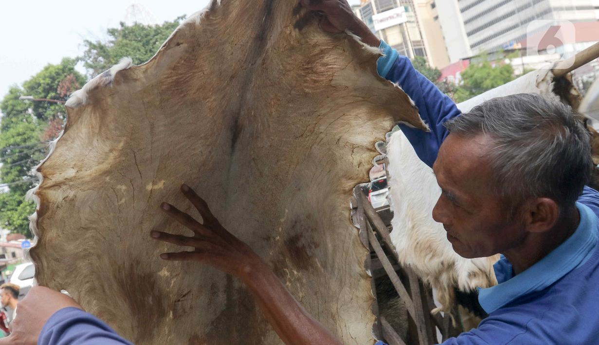 Sebanyak 100 bedug sudah dipesan untuk menyambut Hari Raya Idul Fitri 1445 Hijriah. (Liputan6.com/Herman Zakharia)