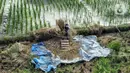 Petani melakukan proses perontokan gabah dari batang padi usai dipanen dari persawahan di kawasan Rorotan, Jakarta Timur, Rabu (3/5/2023). (merdeka.com/Iqbal S. Nugroho)