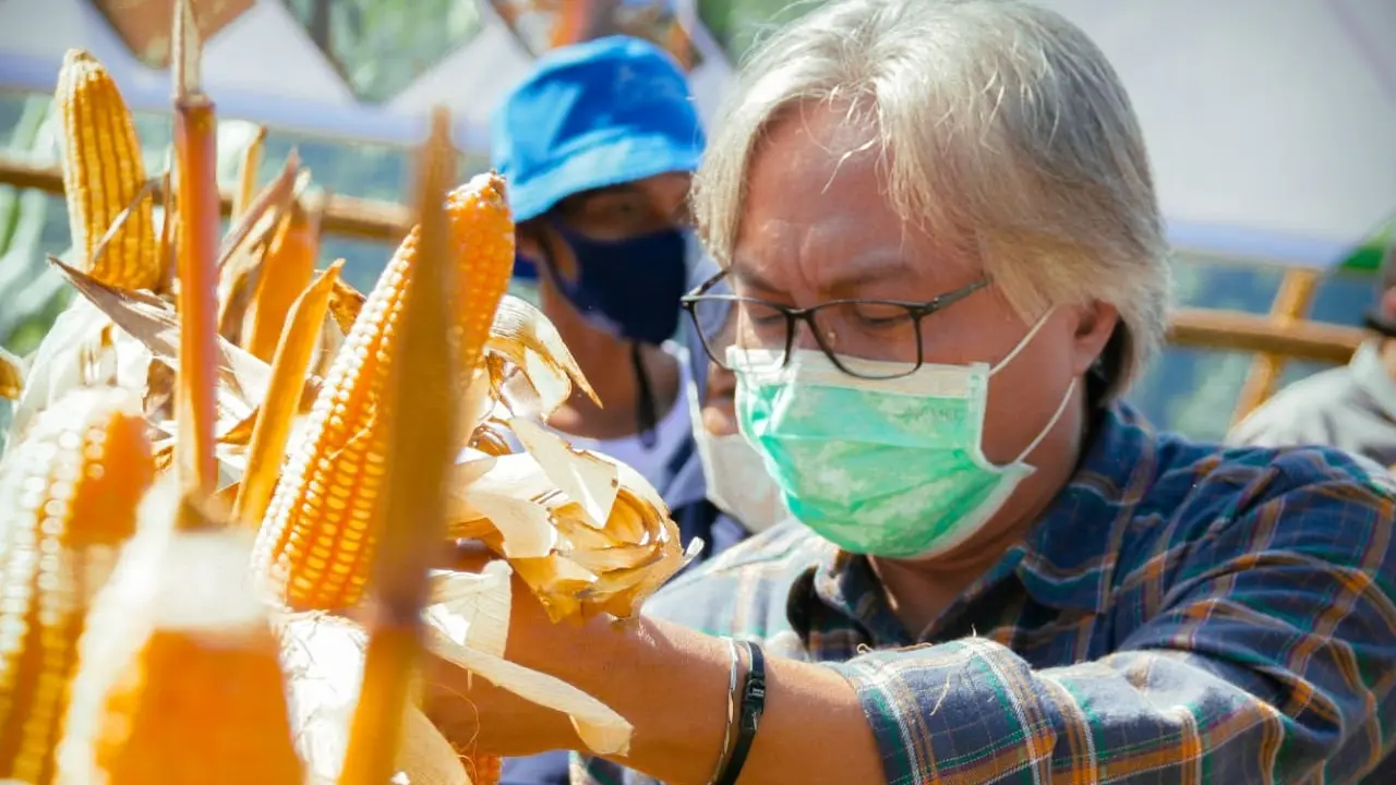 Petani Milenial Juara