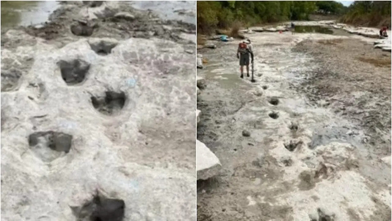 Viral Jejak Dinosaurus Dari 113 Juta Tahun 'Muncul Kembali' di Sungai yang Mengering