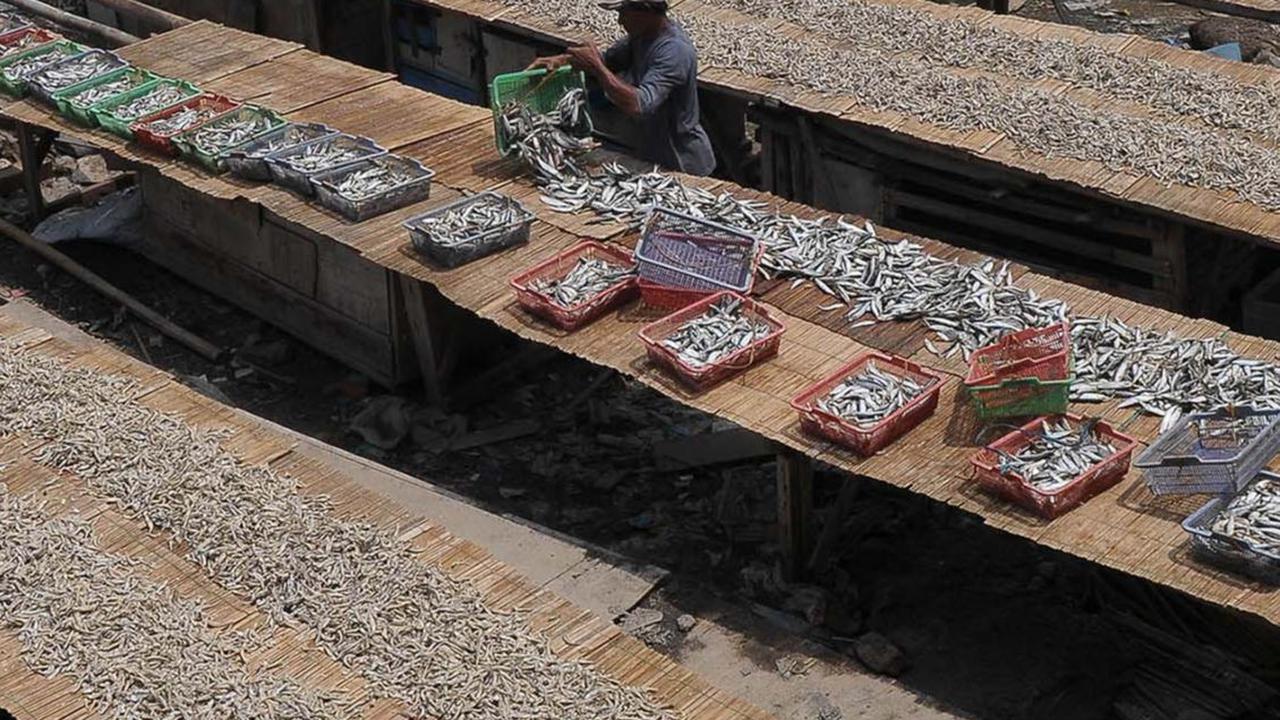 FOTO: Geliat Produksi Ikan Asin di Tengah Cuaca Tak Tentu