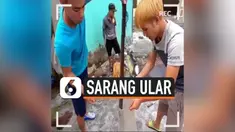 THUMBNAIL ular