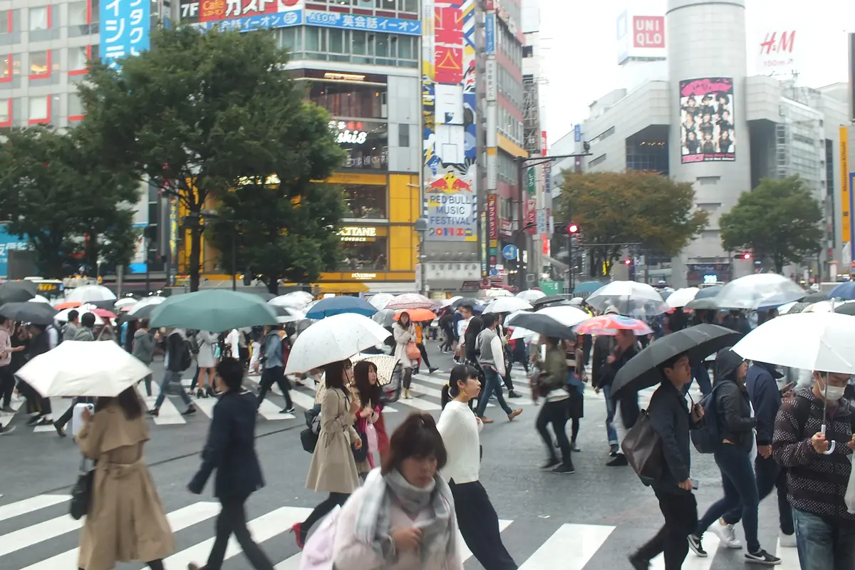 Sensasi Berjalan di Persimpangan Shibuya Crossing