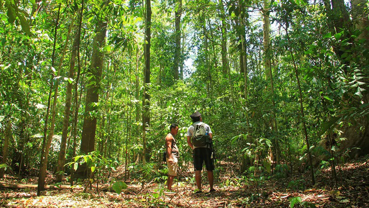 Hutan Wisata Alam Batu Putih