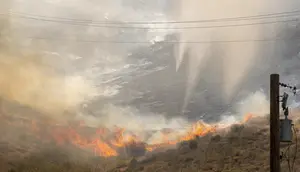Kebakaran Hutan Hebat di Washington, Ribuan Warga Mengungsi
