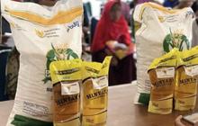 Bulog Jambi Genjot Penyaluran Bantuan Pangan Beras dan Minyak Goreng Jelang Lebaran