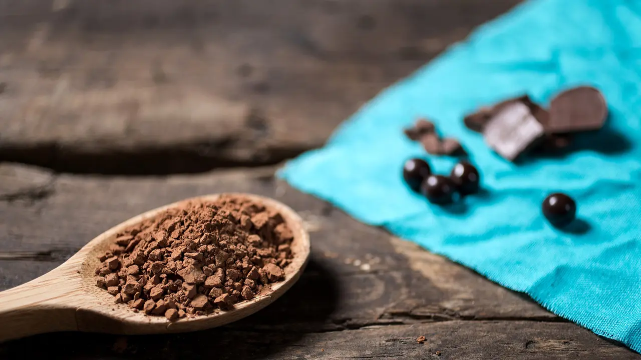 Bubuk Coklat