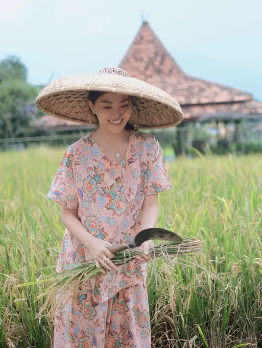 Tanpa mengenakan alas kaki di sawah yang kering, Sarwendah terlihat cuek saat memotong batang padi dan dikumpulkan. Caping besar dikenakan di atas kepalanya. (Instagram/sarwendah29)