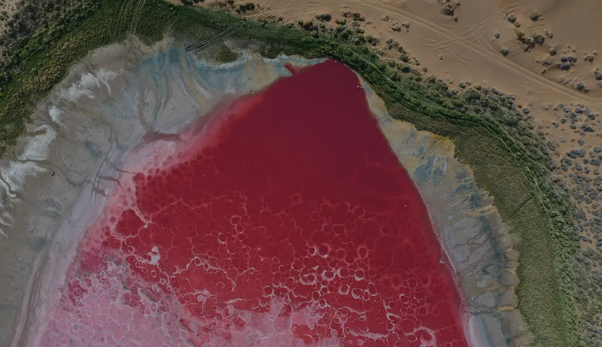 Foto dari udara yang diabadikan saat malam hari pada 30 Mei 2020 ini menunjukkan Danau Daghtu di Gurun Badain Jaran, Daerah Otonom Mongolia Dalam, China utara. Jauh di dalam Gurun Badain Jaran di Wilayah Alxa Right, terdapat sebuah danau berwarna merah muda yang dinamai Daghtu. (Xinhua/Xu Qin)