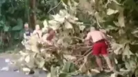 Viral Video Turis Asing Ramai-ramai Pindahkan Pohon Tumbang di Bali. foto: Instagram @infobadung